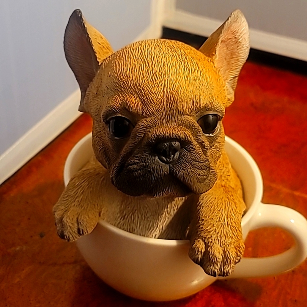 Puppy in a cup